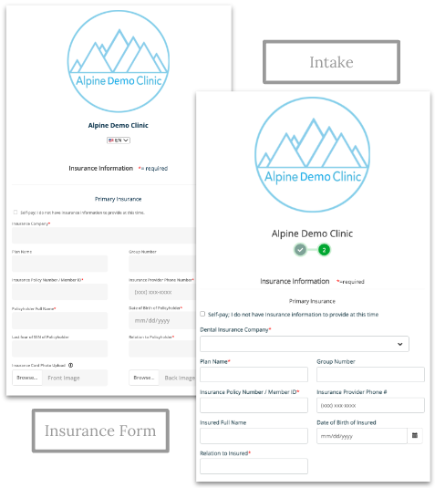 verifying insurance intake and form screenshot